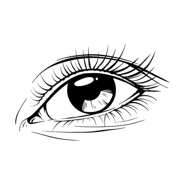 Hermoso boceto dibujado a mano ojo vector ilustración línea arte