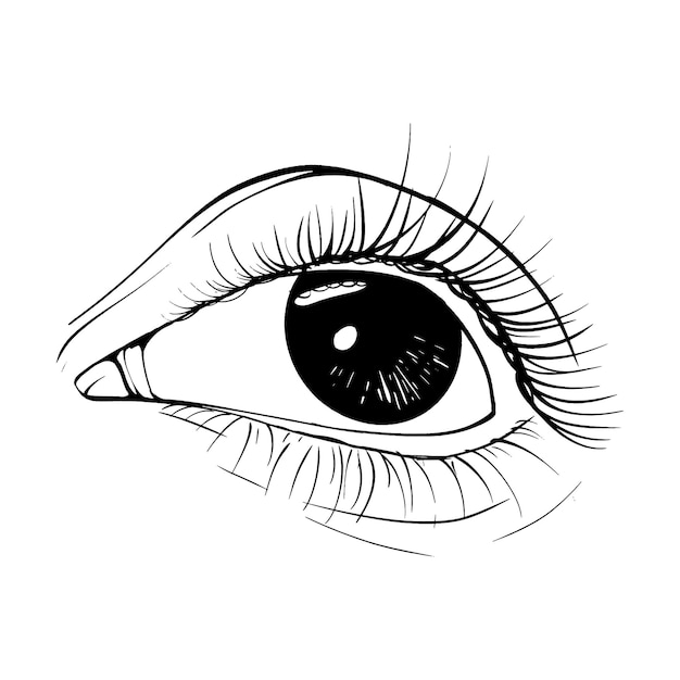 Hermoso boceto dibujado a mano ojo vector ilustración línea arte