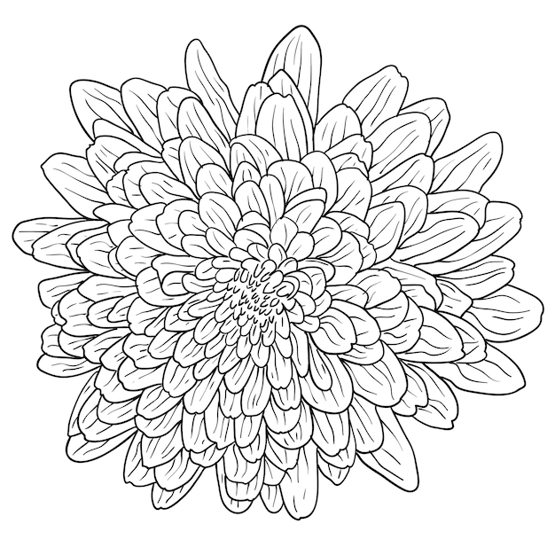 Hermoso bosquejo monocromo blanco y negro dahlia flor aislado