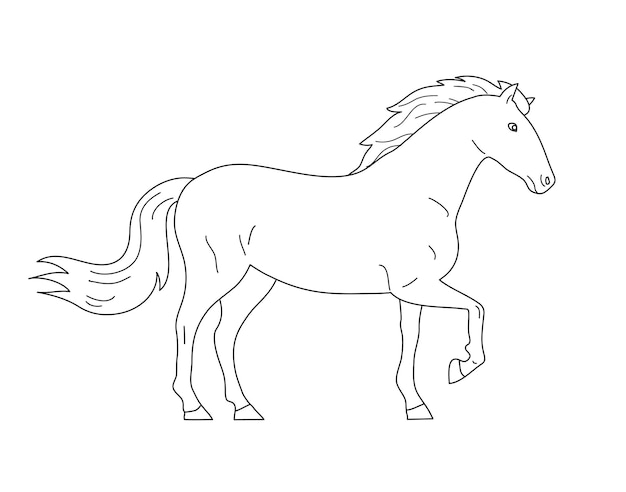Hermoso caballo mustang aislado sobre fondo blanco.