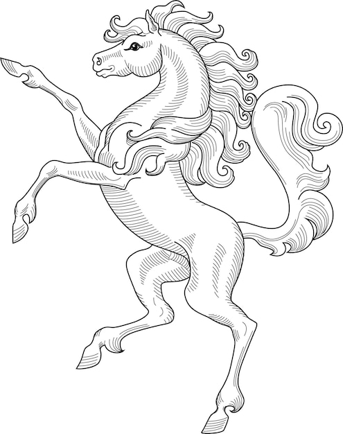 Hermoso caballoHeráldica Ilustración vectorial dibujada a mano aislada en blanco Para colorear libros