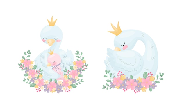Hermoso cisne blanco o ganso con corona dorada y conjunto vectorial de arreglos florales