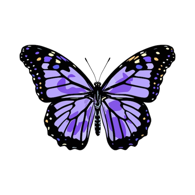 Hermoso colorido vector exótico de dibujos animados aislado en blanco pastel púrpura verde lima mariposa