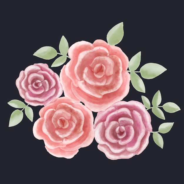 Vector hermoso conjunto de rosas de acuarela