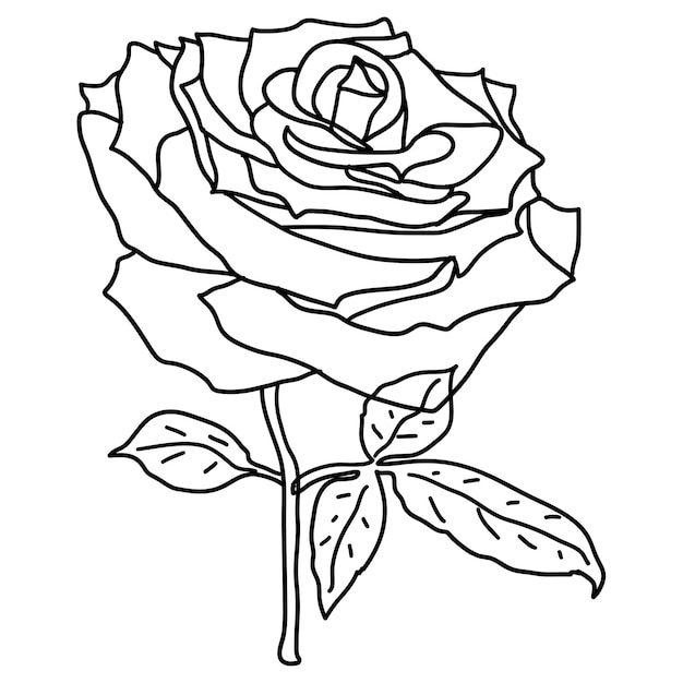 Hermoso dibujo de una flor rosa sobre un fondo blanco.