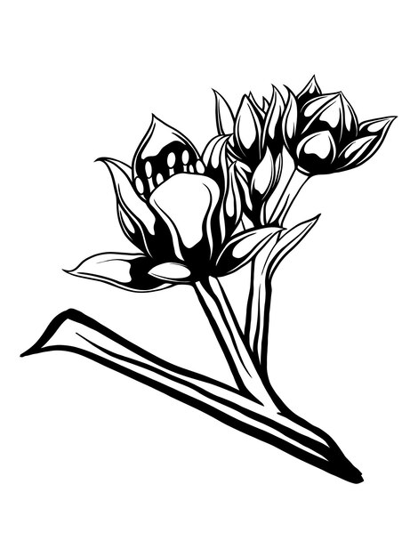 hermoso diseño floral para adorno de boda vectorial