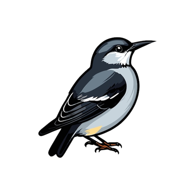 Vector hermoso diseño plano de pájaro vectorial