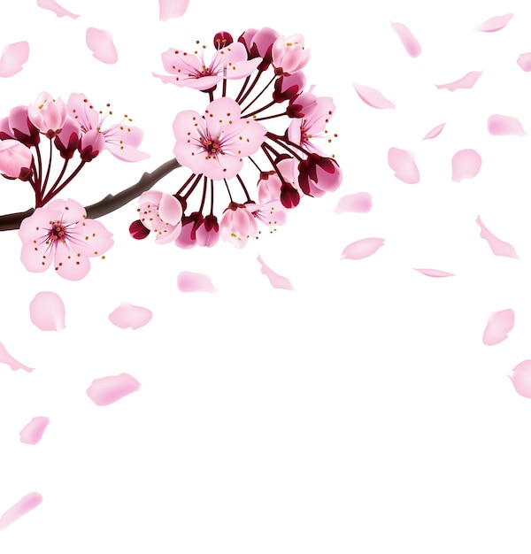 Hermoso estampado con flores de sakura rosa oscuro y rosa claro florecientes fondo de primavera