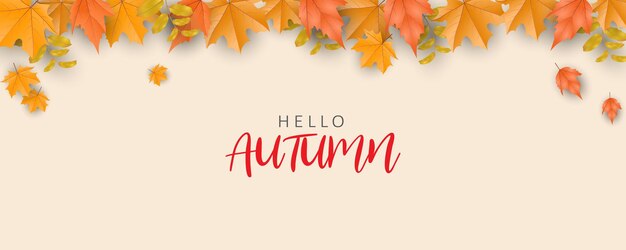 Hermoso fondo con cálidas hojas de otoño