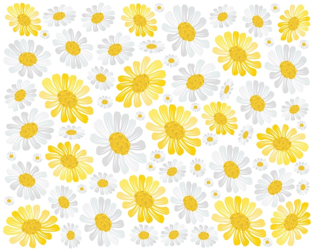 Hermoso fondo de flores de cosmos amarillo y blanco