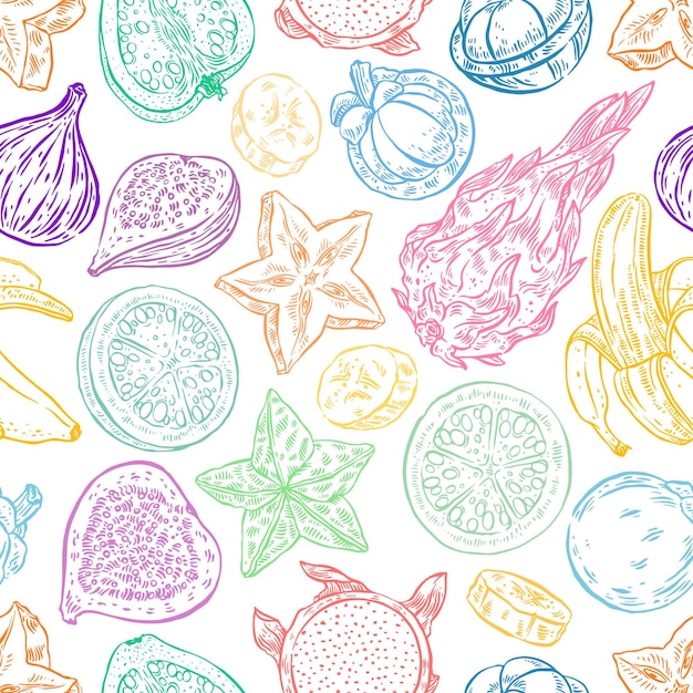 Hermoso fondo transparente de bosquejo de deliciosas frutas exóticas multicolores. ilustración dibujada a mano