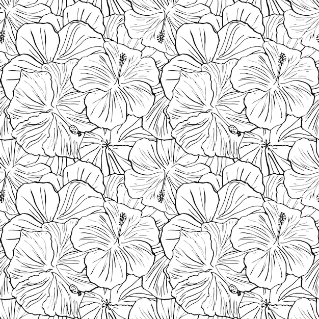 Hermoso fondo transparente estilo blanco y negro Flor de hibisco floreciente