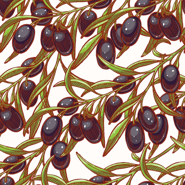 Hermoso fondo transparente con ramas dibujadas a mano de olivo negro