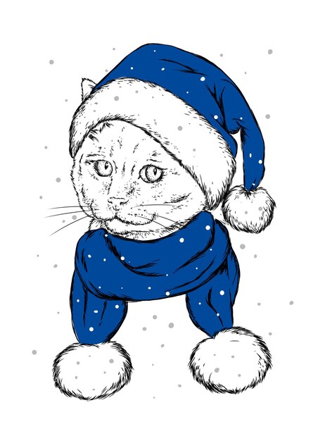 Hermoso gato con sombrero de Navidad, vacaciones de año nuevo y Santa Claus