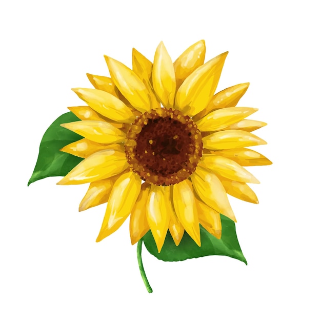 hermoso girasol amarillo en acuarela