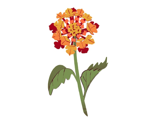 hermoso icono de flor sobre fondo blanco ilustración de vector de diseño colorido