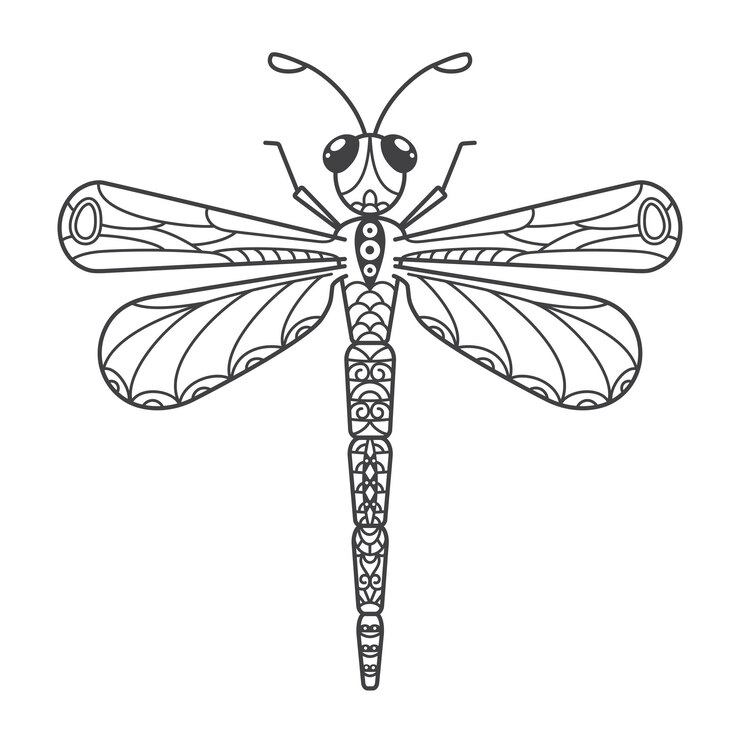 Hermoso insecto dibujado a mano en estilo doodle