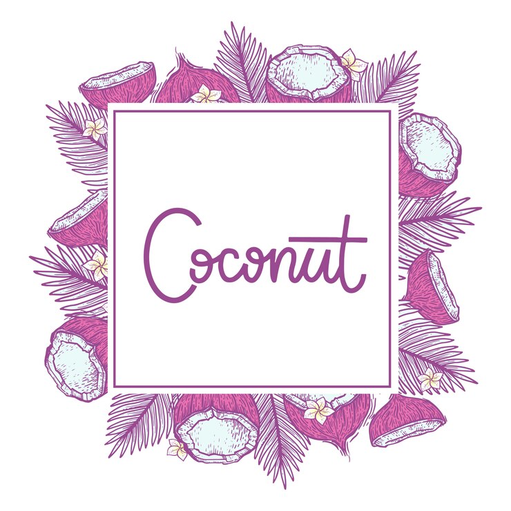 Vector hermoso marco con coco. hojas de coco y palma en estilo grabado. palabra de letras - coco.