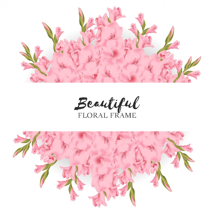 Vector hermoso marco floral gladiolo