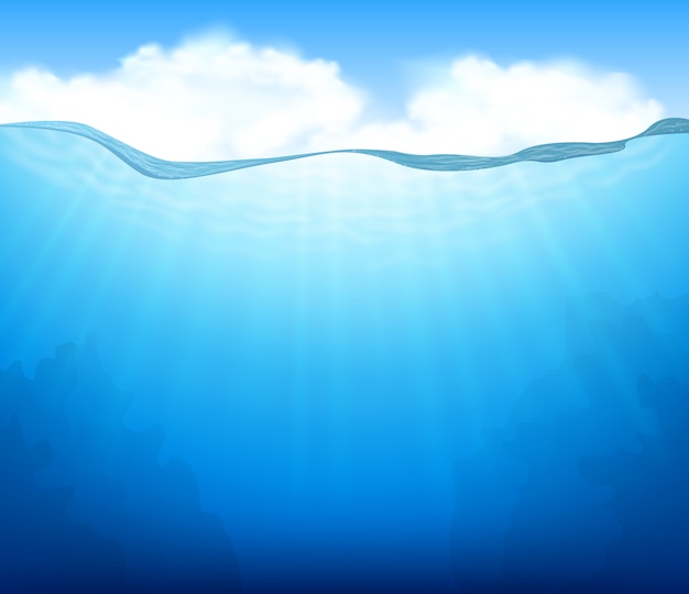 El hermoso mundo submarino