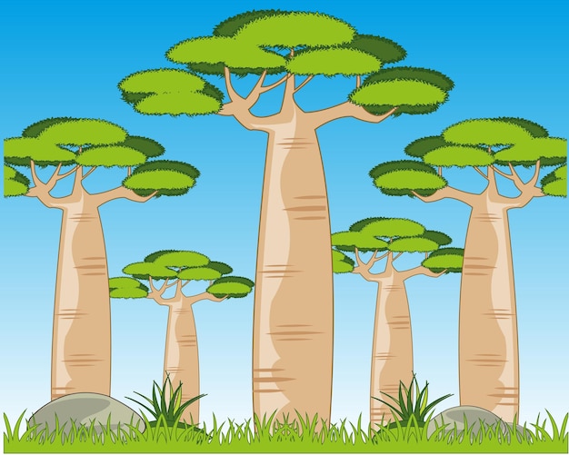 Hermoso paisaje de año con árbol baobab