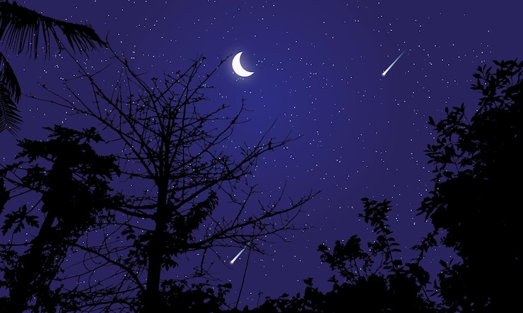 Vector hermoso paisaje de cielo nocturno en bosque con luna y estrellas