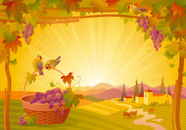 Hermoso paisaje de otoño. Campo de otoño con uvas, viñedos, canasta y pájaros. Ilustración de vector de acción de gracias y festival del vino.