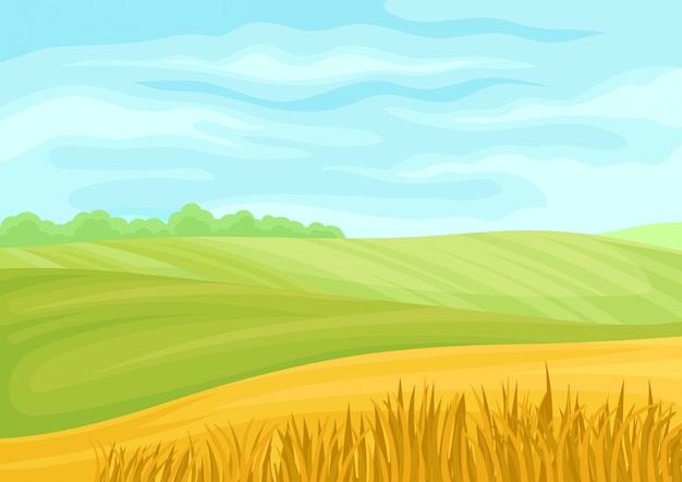 Vector hermoso paisaje de prados verdes y campos amarillos.