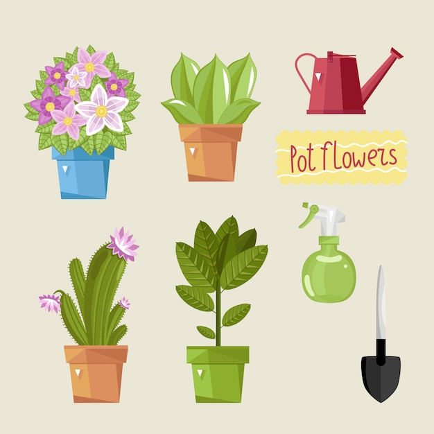 Vector hermoso paquete de plantas de interior