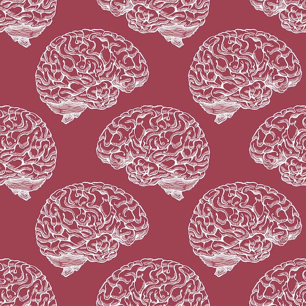 Hermoso patrón marrón transparente de cerebros de bosquejo. ilustración dibujada a mano