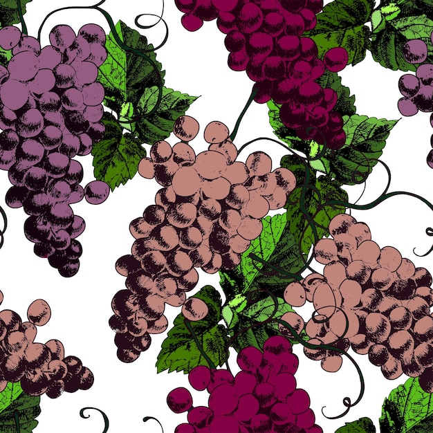 Hermoso patrón con uvas