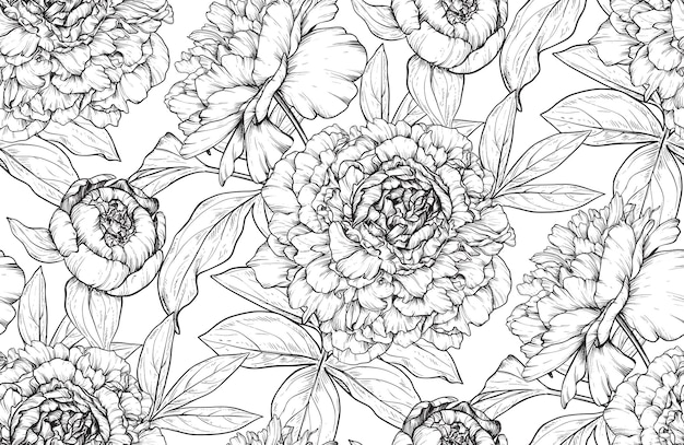 hermoso patrón vectorial dibujado a mano sin costuras con peonías blancas y negras fondo sin fin con plantas de jardín de verano