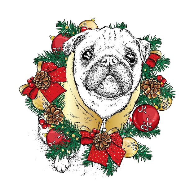Hermoso perro con corona de Navidad