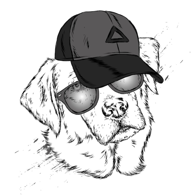 Hermoso perro con gafas y una gorra de ilustración