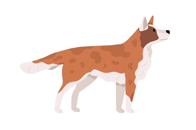 Hermoso perro de pie y mirando hacia arriba. Vista lateral del perrito. Animal canino con manchas. El perfil del cachorro. Ilustración de vector plano realista de mascota aislado sobre fondo blanco.