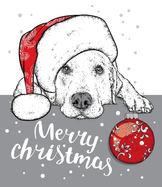 Hermoso perro con un sombrero de navidad