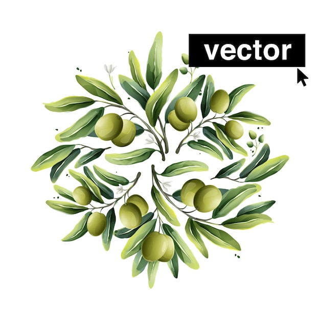 Vector hermoso ramo de círculo vectorial con aceitunas mediterráneas bayas hojas flores capullos ramas