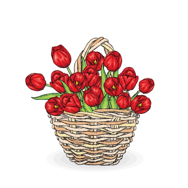 Un hermoso ramo de tulipanes rojos en una cesta de mimbre Ilustración vectorial Vacaciones de primavera Postal