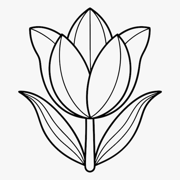 Un hermoso ramo de tulipanes