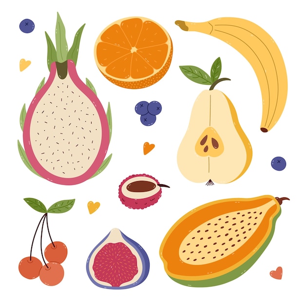 Un hermoso set de dibujos animados con frutas y bayas exóticas Un clip de la fruta del dragón, la papaya y la higuera dibujado a mano