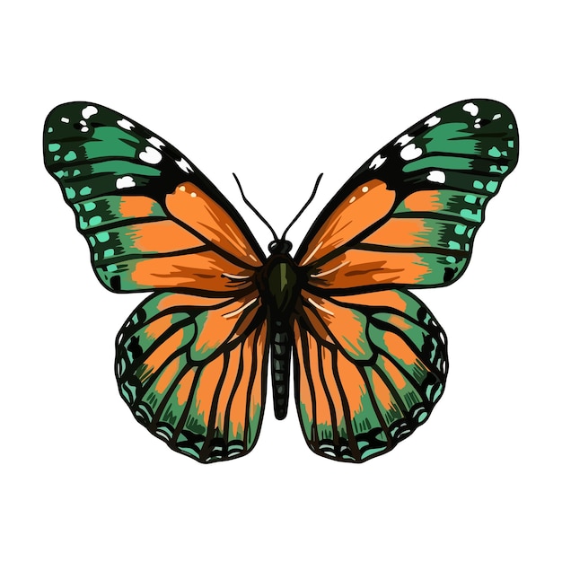 Hermoso vector exótico de dibujos animados coloridos aislado en mariposa verde pastel blanco con ala colorida