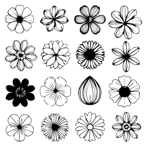 Hermosos adornos dibujados a mano boceto conjunto de flores colección de diseño