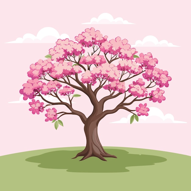 Vector hermosos cerezos con flores rosadas ilustración de sakura vector