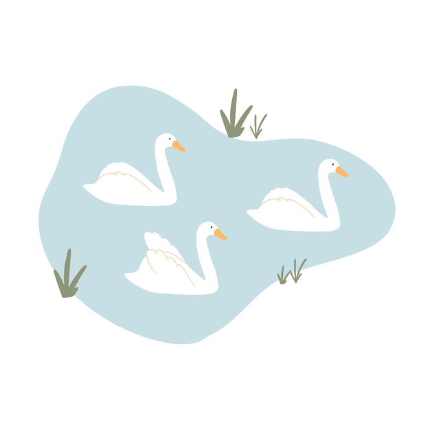 Hermosos cisnes nadan en el lago Ilustración vectorial de cisnes en un estanque