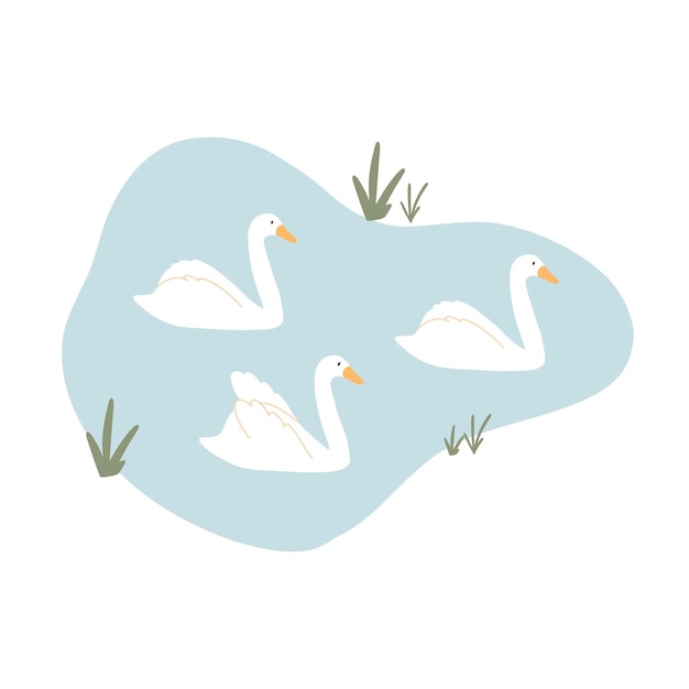 Vector hermosos cisnes nadan en el lago ilustración vectorial de cisnes en un estanque