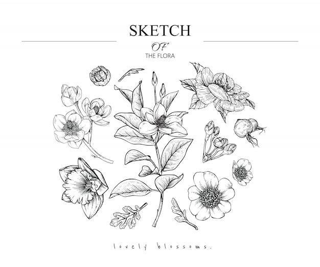 Hermosos dibujos de hojas y flores.