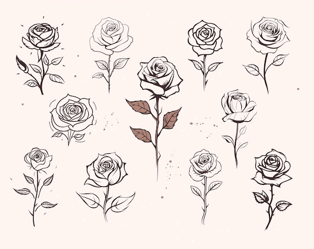 Hermosos dibujos de rosas en estilo antiguo.