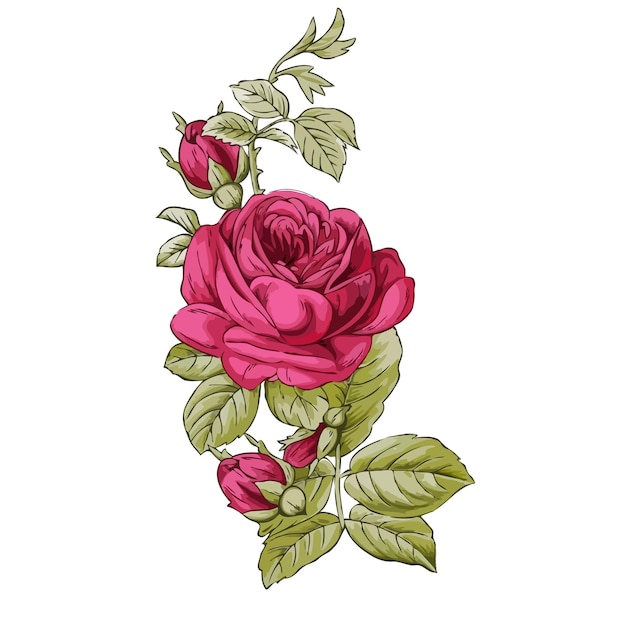 Hermosos dibujos de rosas