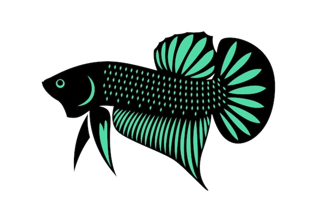 Hermosos gráficos de los peces Betta