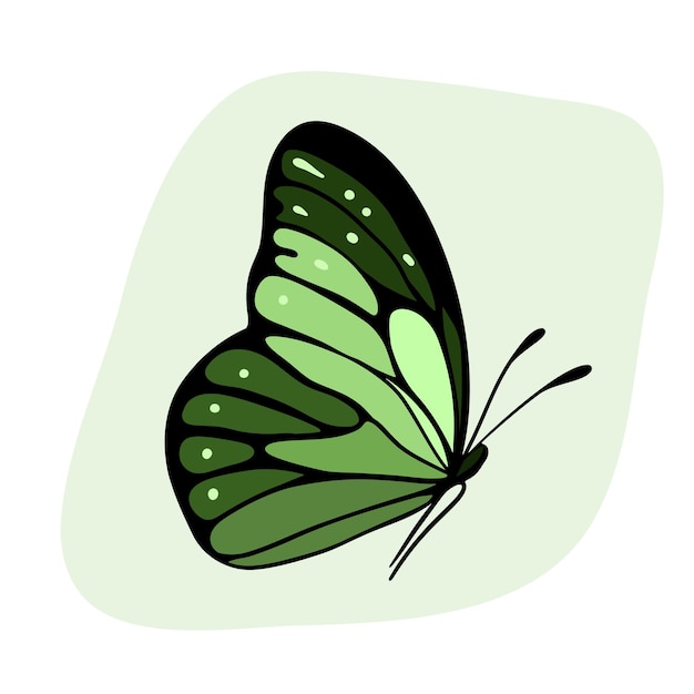 Hermosos insectos mariposas con alas de colores contorno negro y sombra de paleta verde belleza de la naturaleza